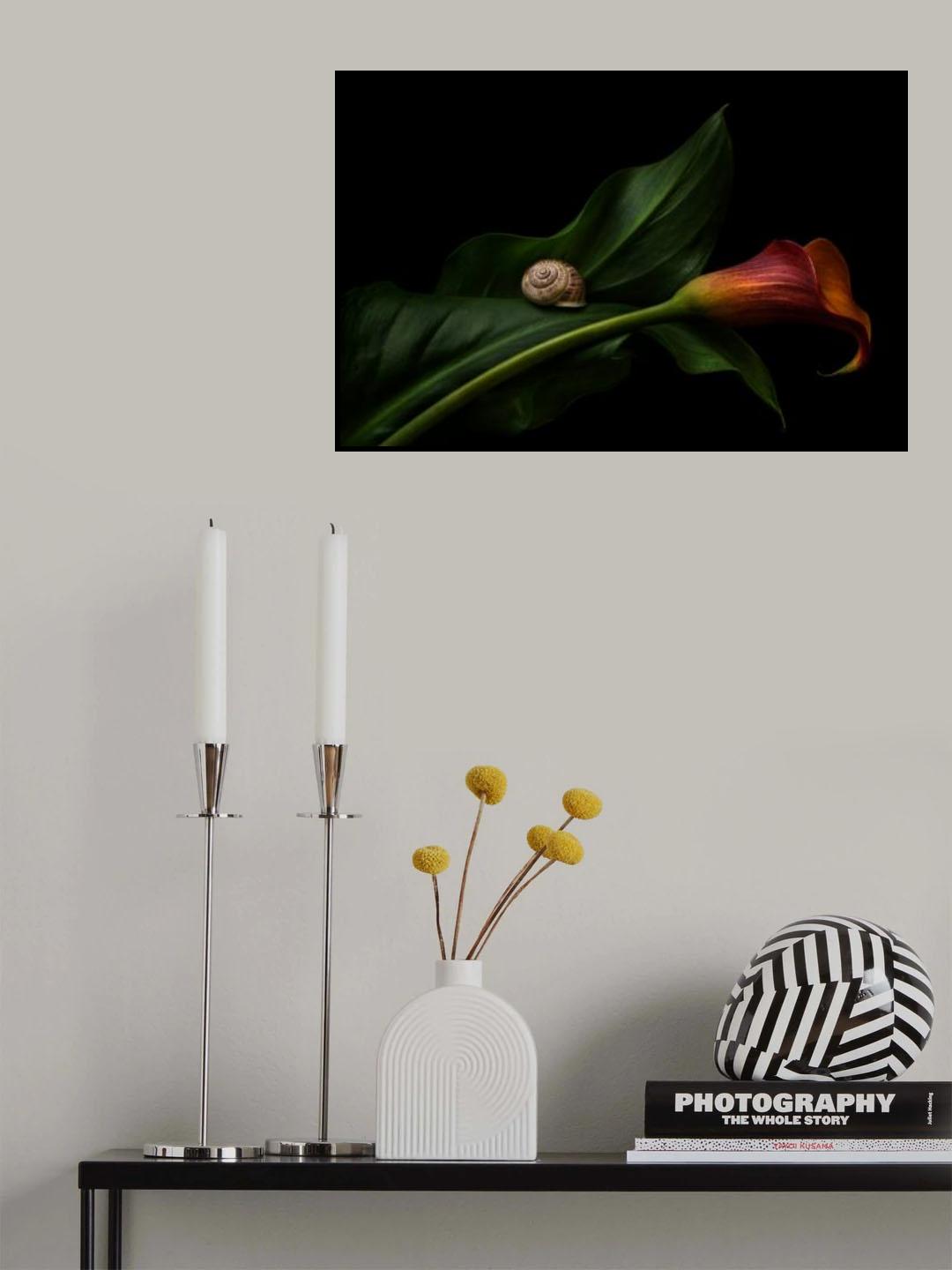 Still Life With A Calla Poster och Canvastavla