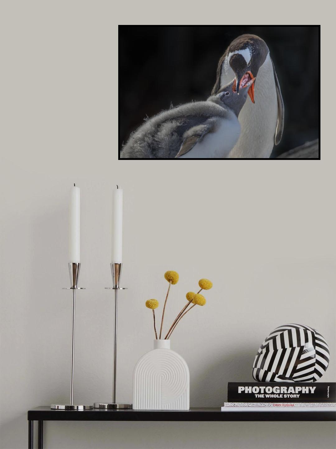 Penguin mom feeding molting baby Poster och Canvastavla