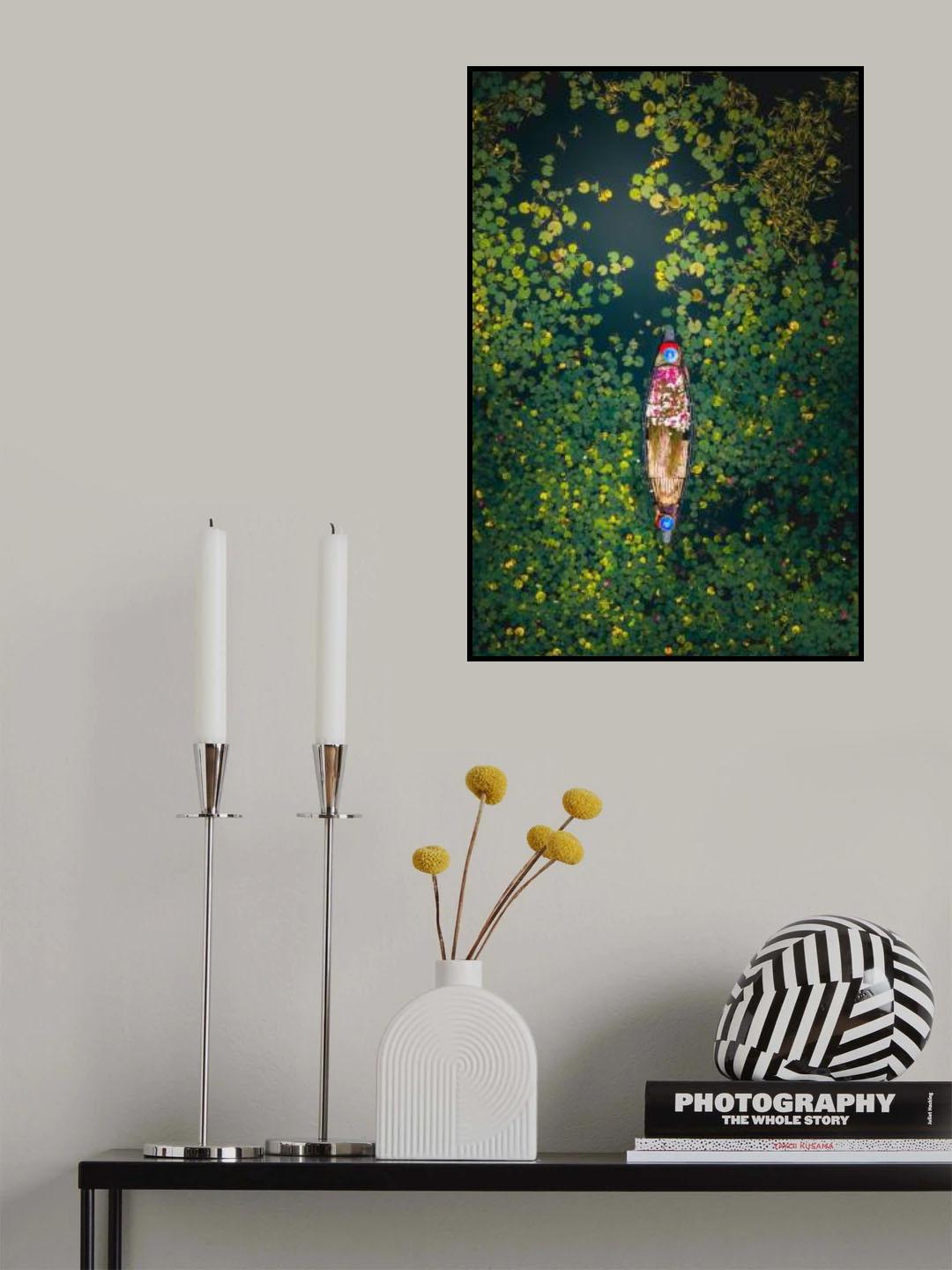 Beautiful rural life-harvesting white water lilies Poster och Canvastavla