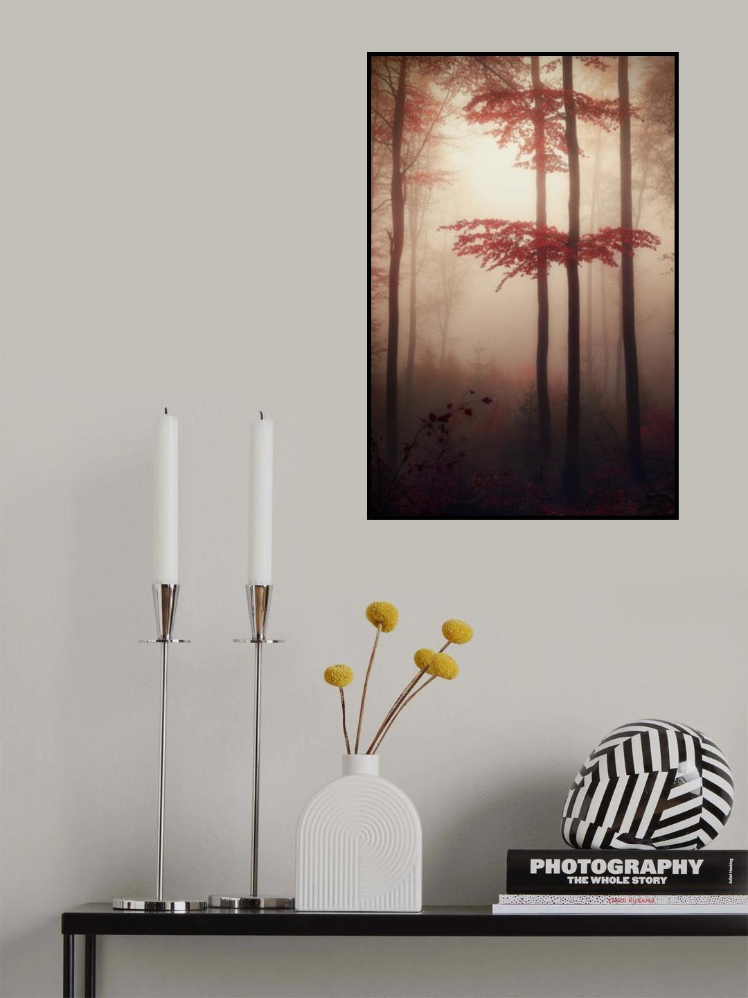 Autumn light Poster och Canvastavla