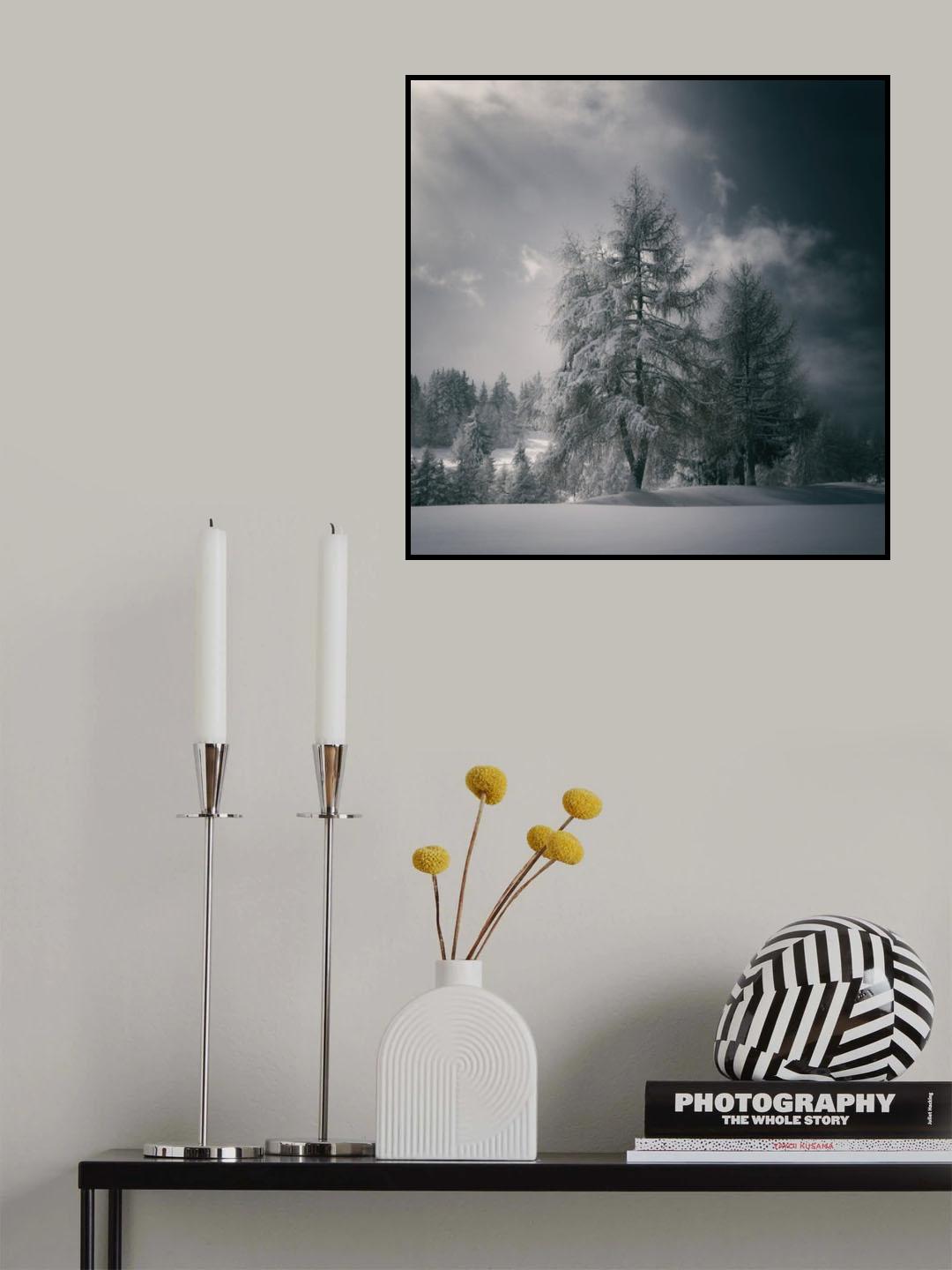after the snow fall Poster och Canvastavla