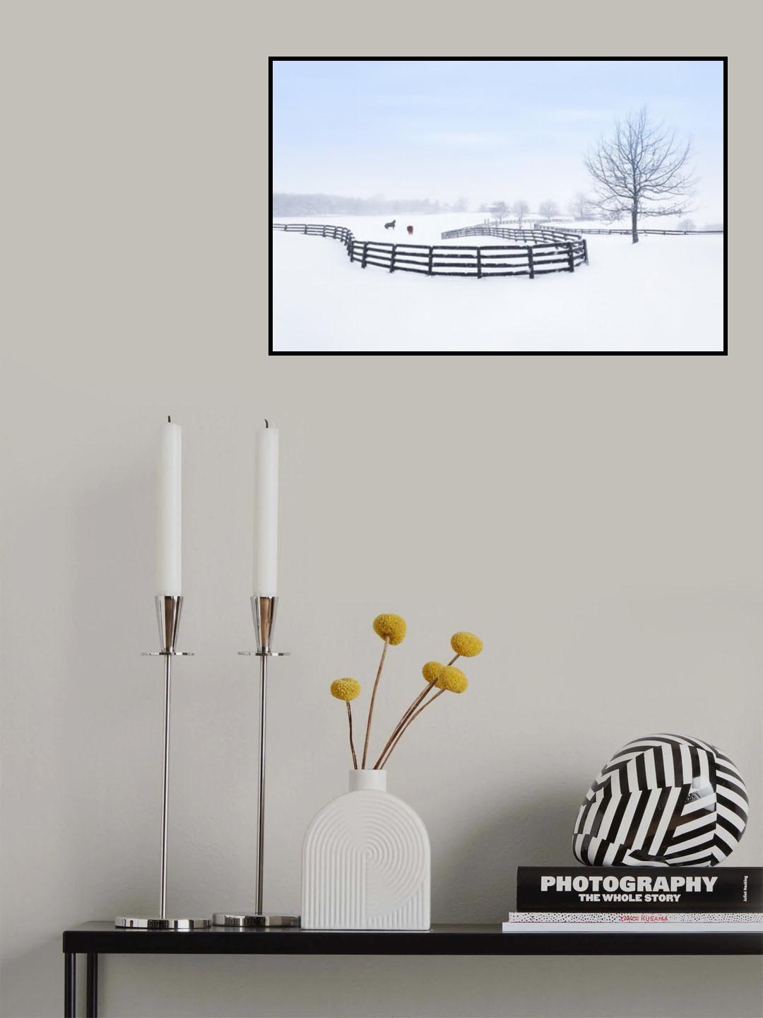 Winter farm Poster och Canvastavla