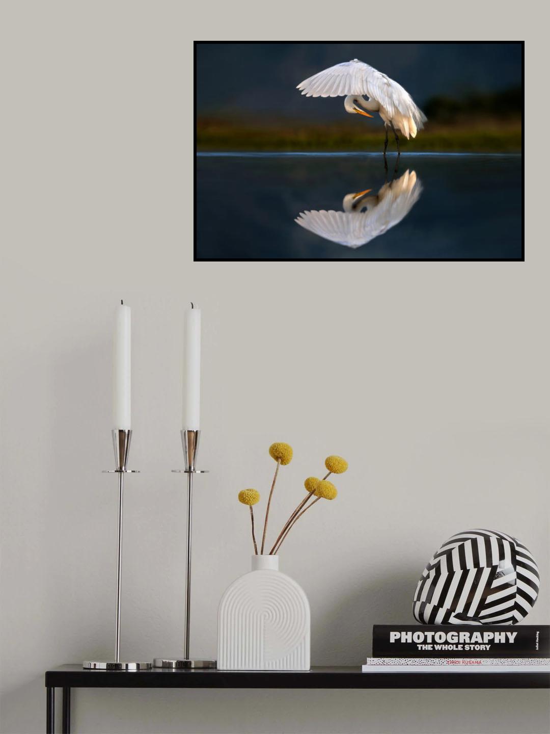 Egret at dusk Poster och Canvastavla