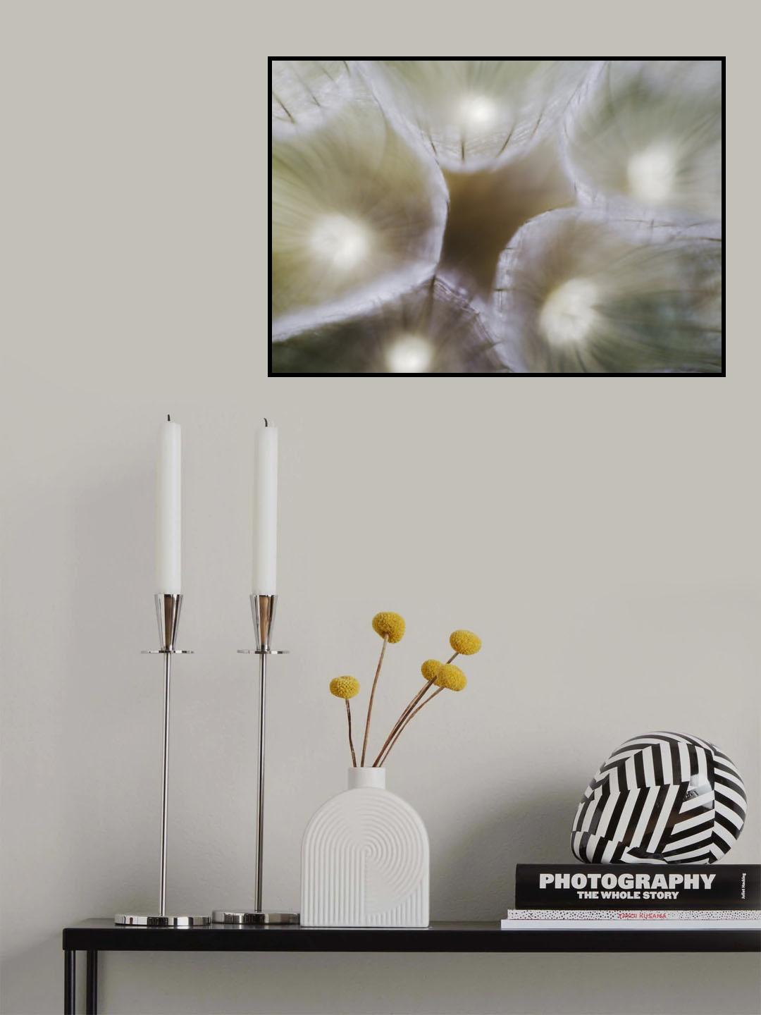 Similar worlds Poster och Canvastavla