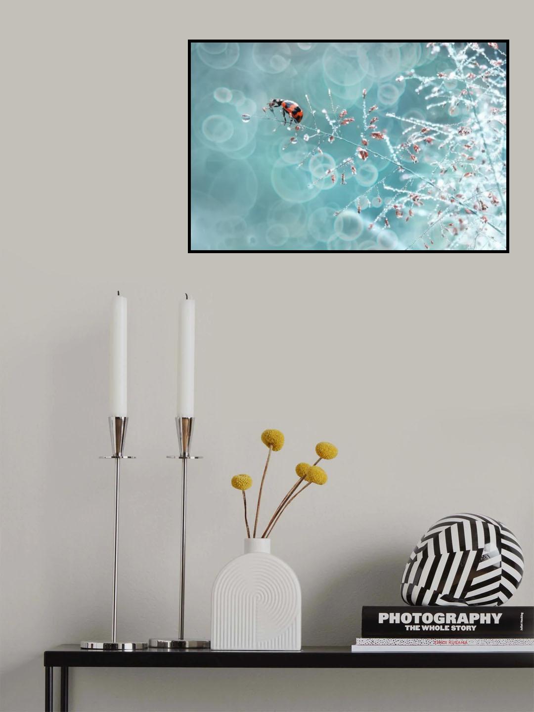 Dew Catcher Poster och Canvastavla
