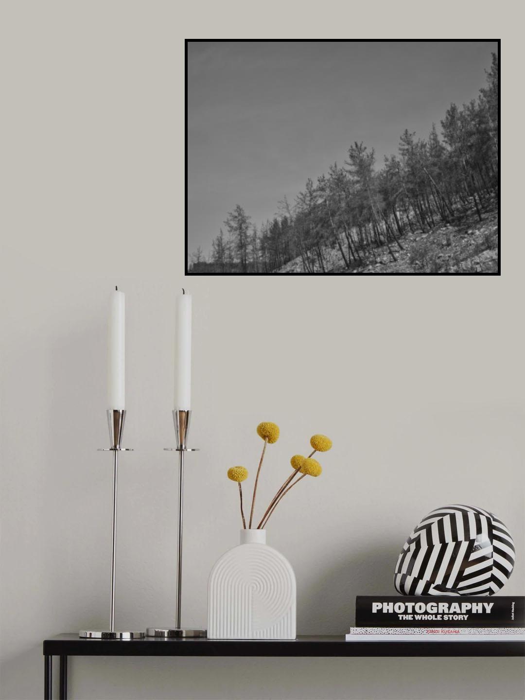 image of a forest after a fire Poster och Canvastavla