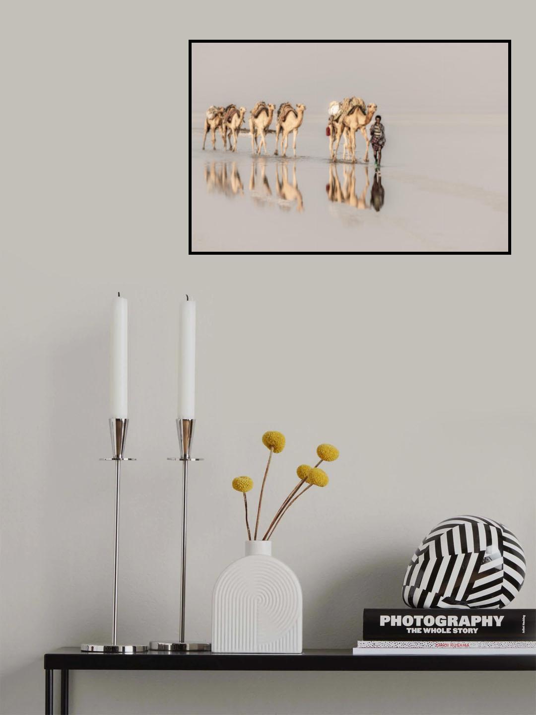 Caravans Poster och Canvastavla