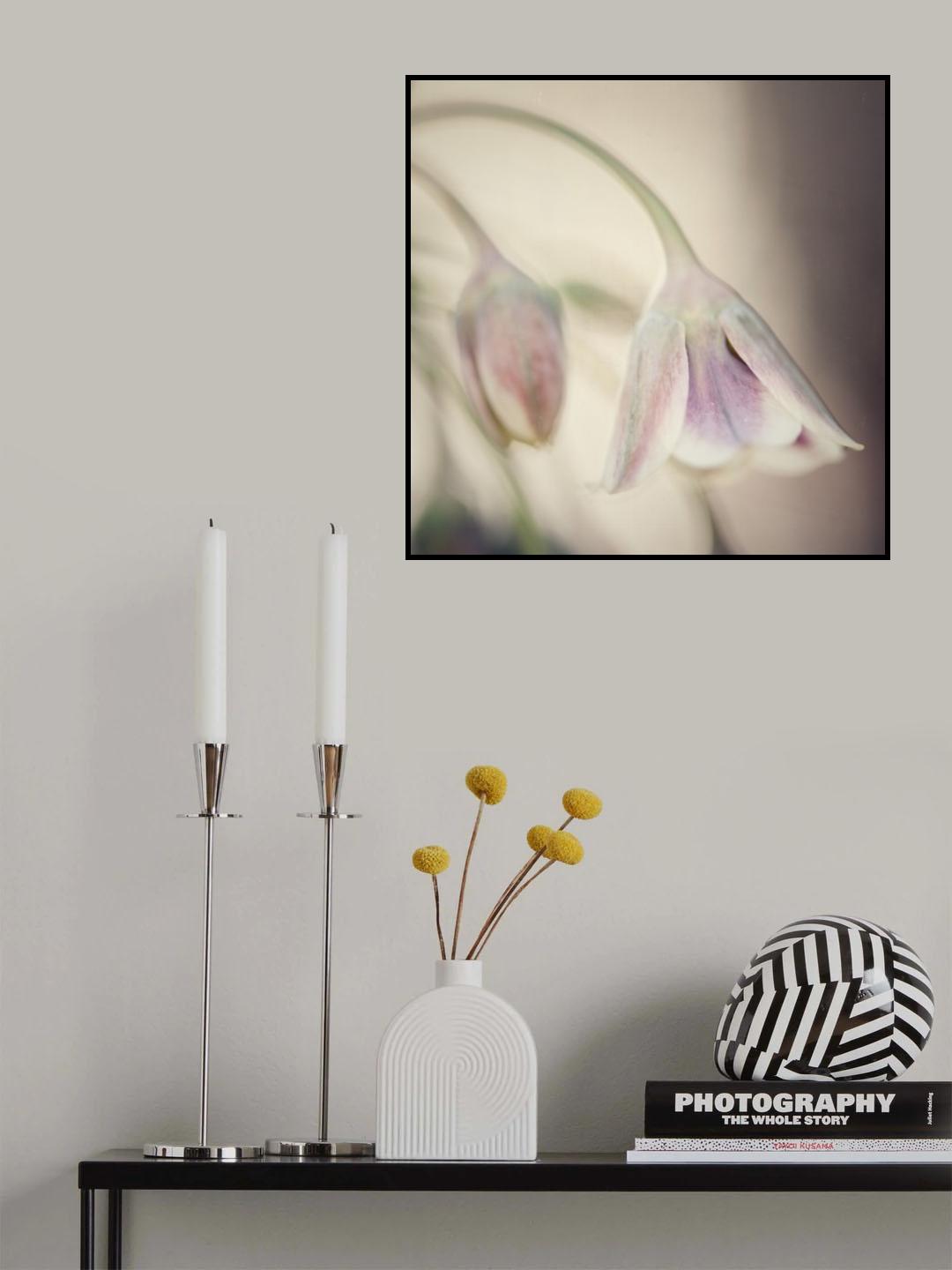 Soft shades of pink Poster och Canvastavla