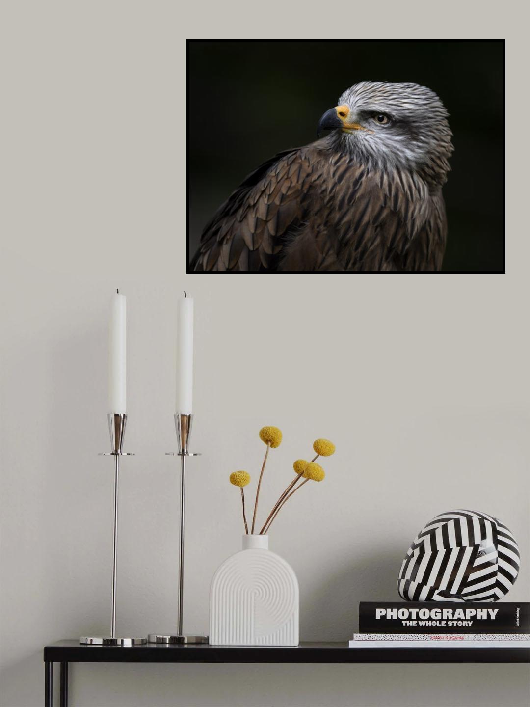 Red Kite Poster och Canvastavla