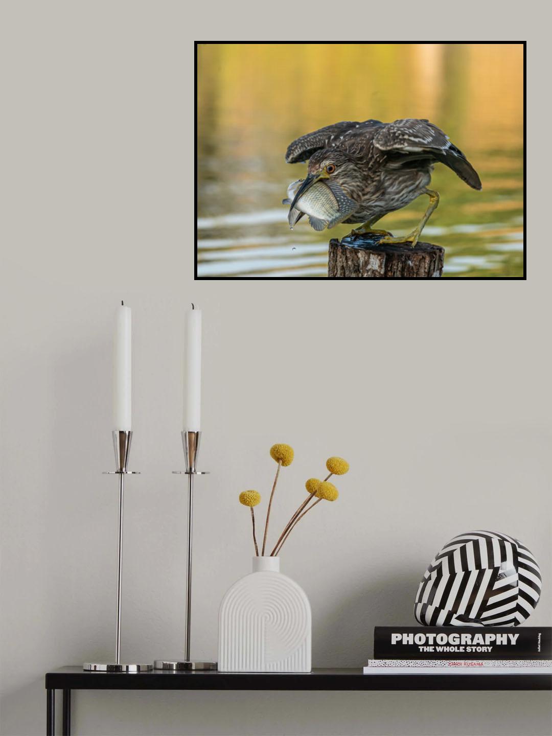 Big catch Poster och Canvastavla