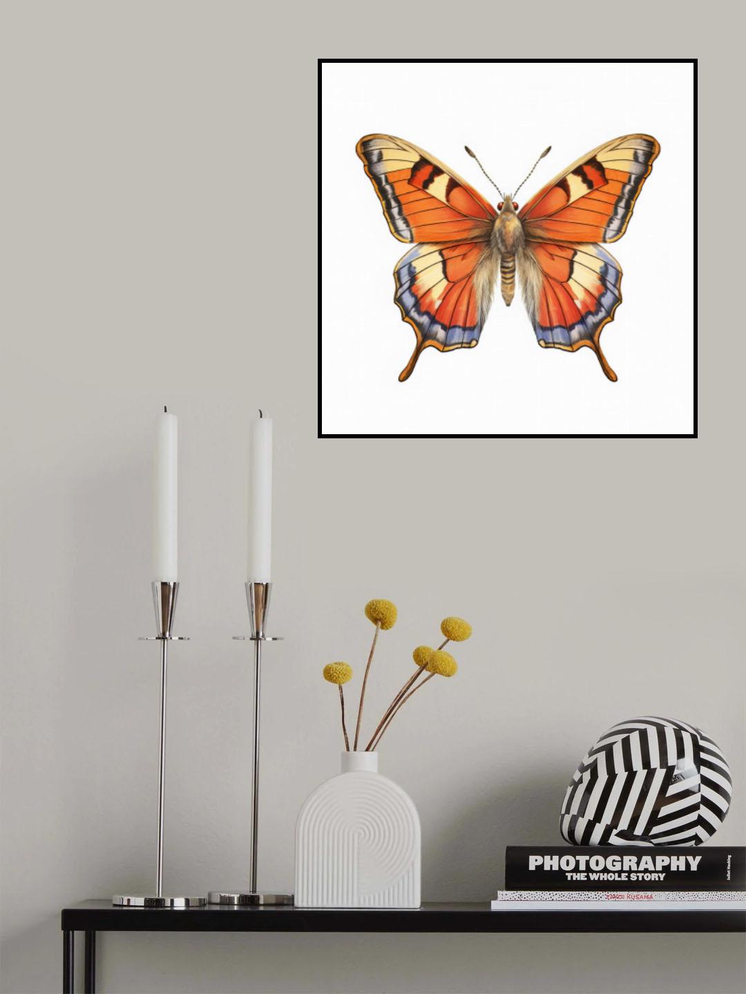 Butterfly 45 Poster och Canvastavla