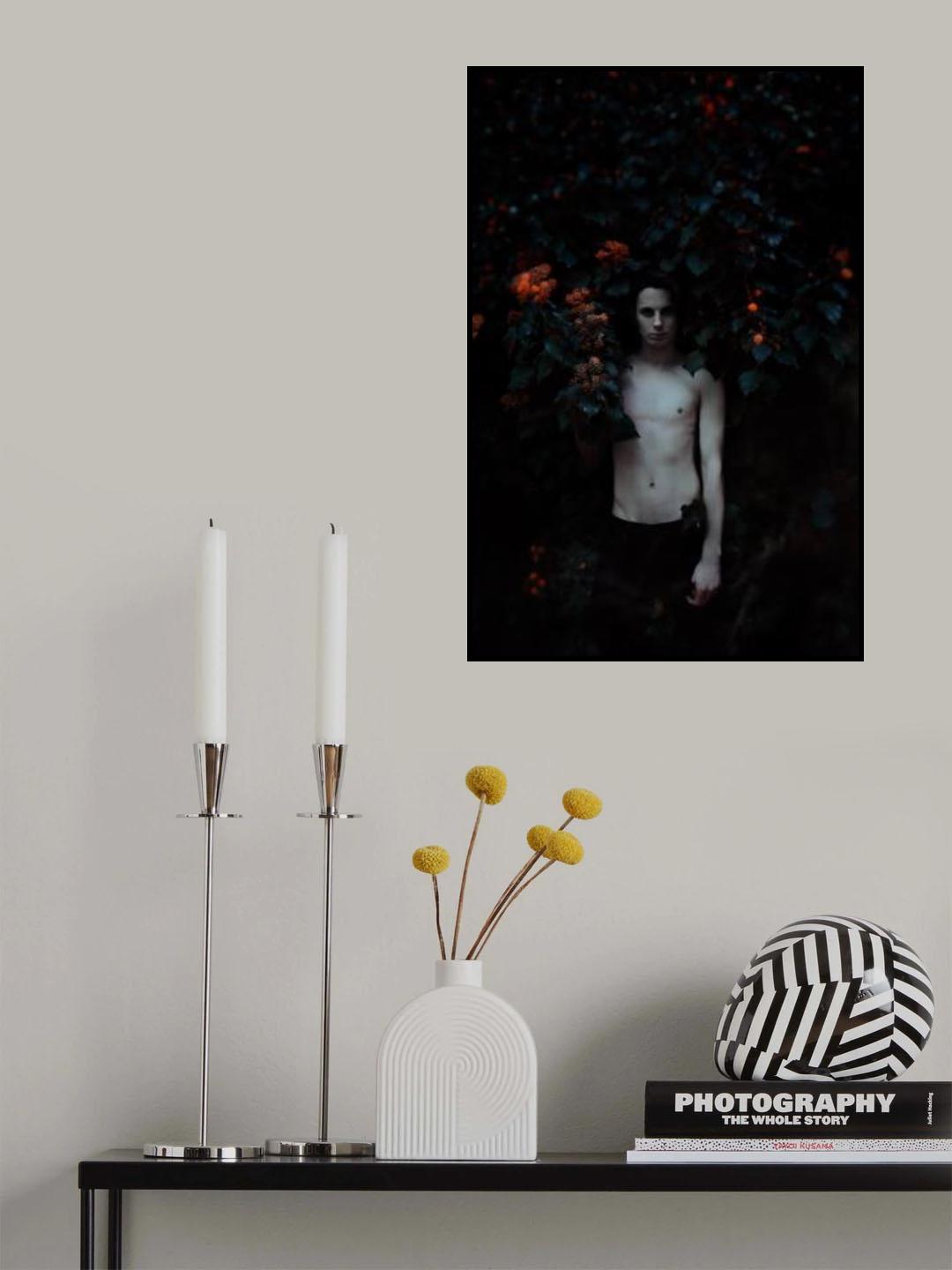 Hidden... Poster och Canvastavla