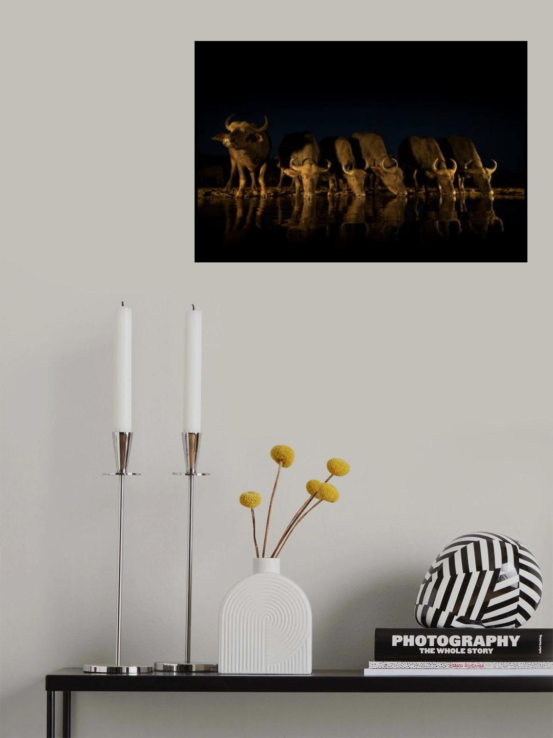 LATE NIGHT Poster och Canvastavla