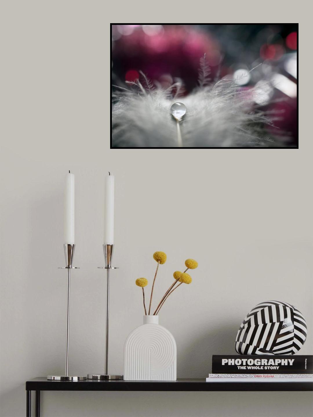 Stories of drops Poster och Canvastavla