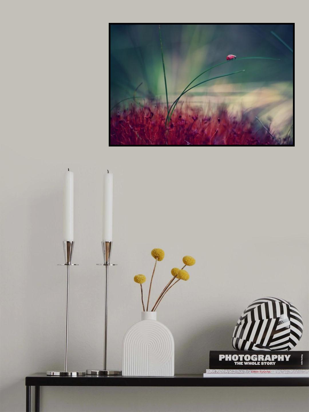 ladybird Poster och Canvastavla