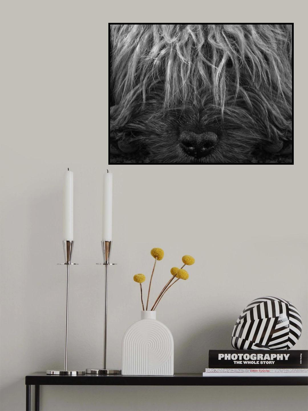 Poster och Canvastavla