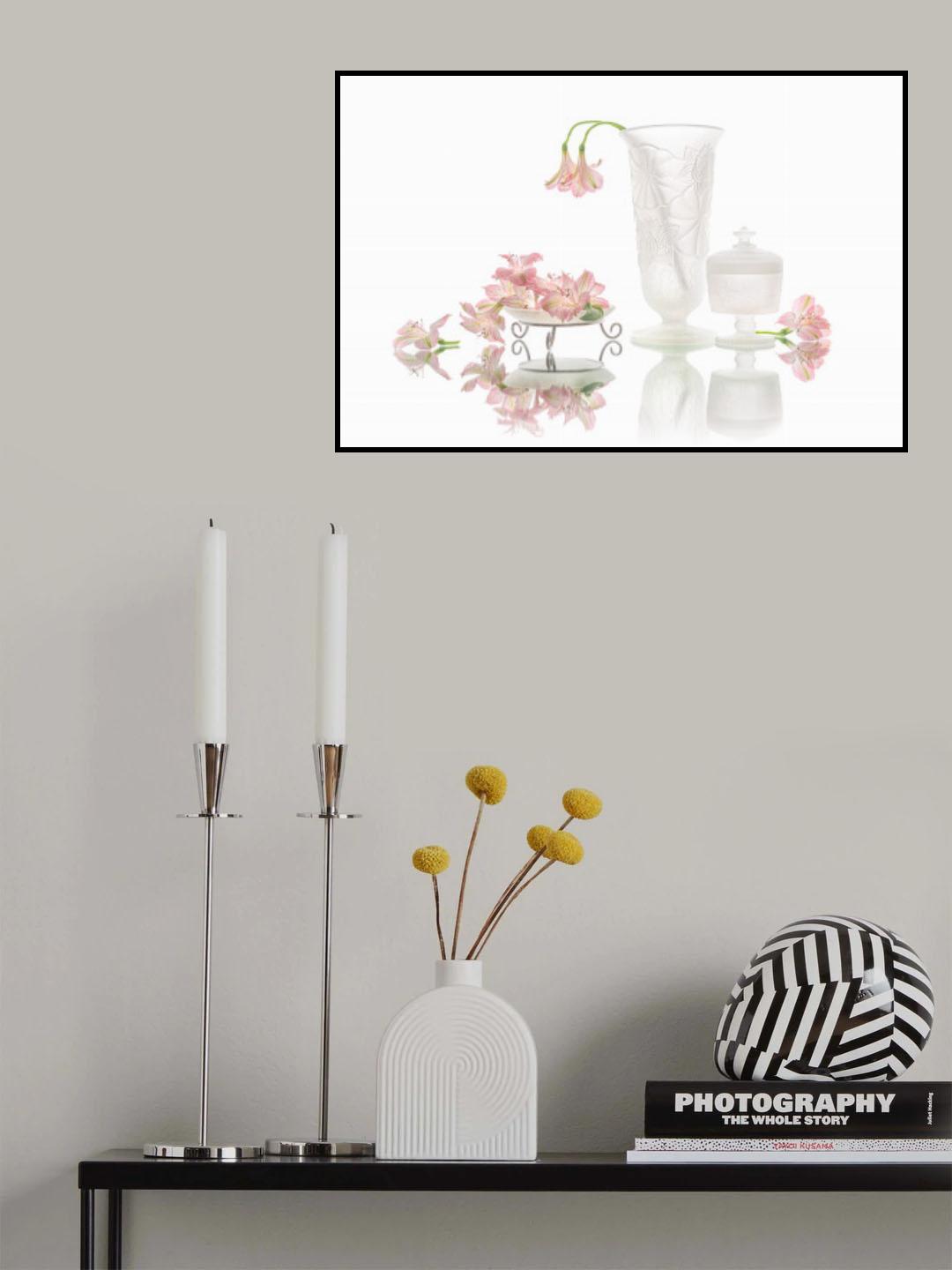 Pink Peruvian-lily Poster och Canvastavla