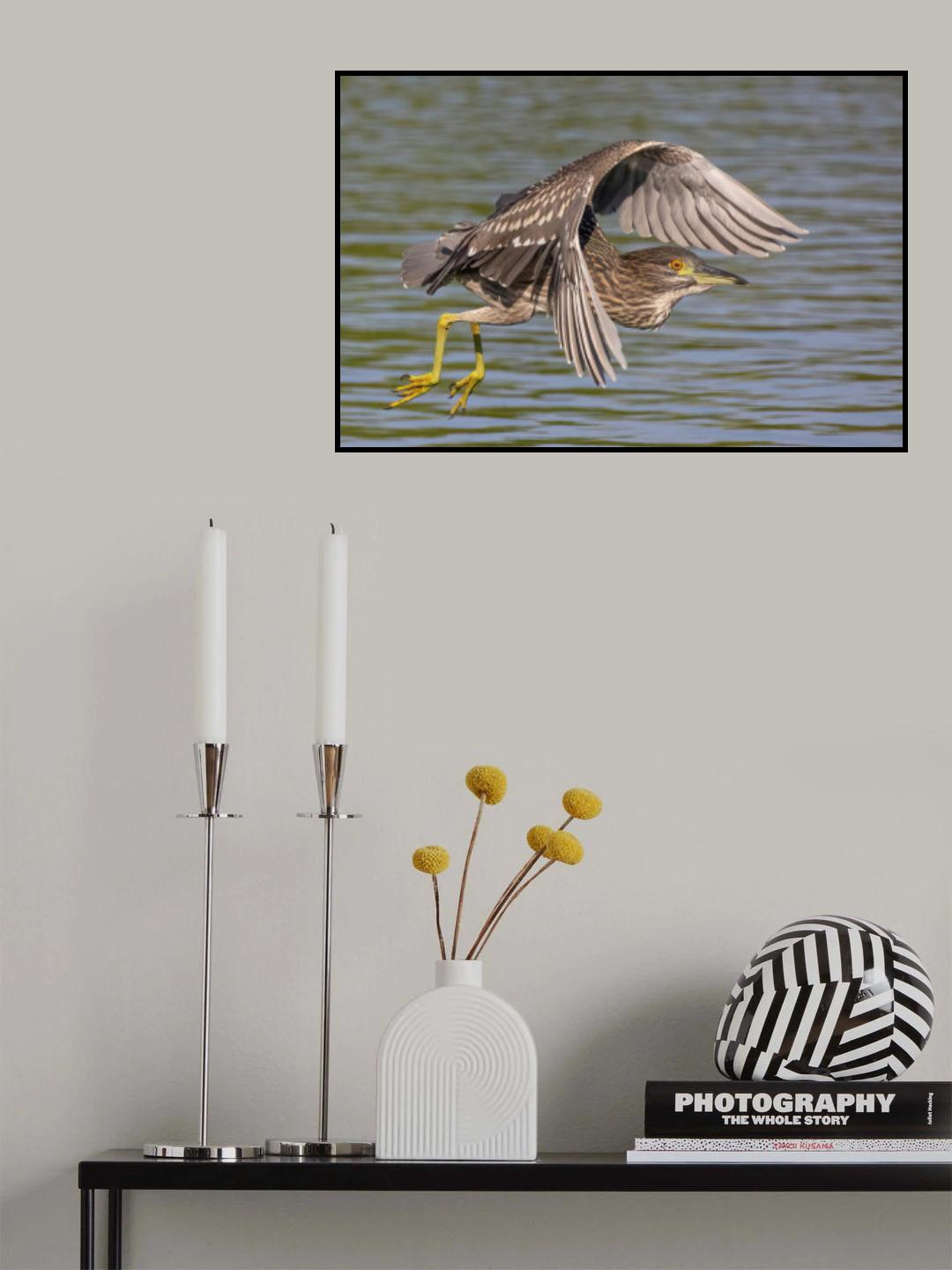 Covered By Itself Poster och Canvastavla