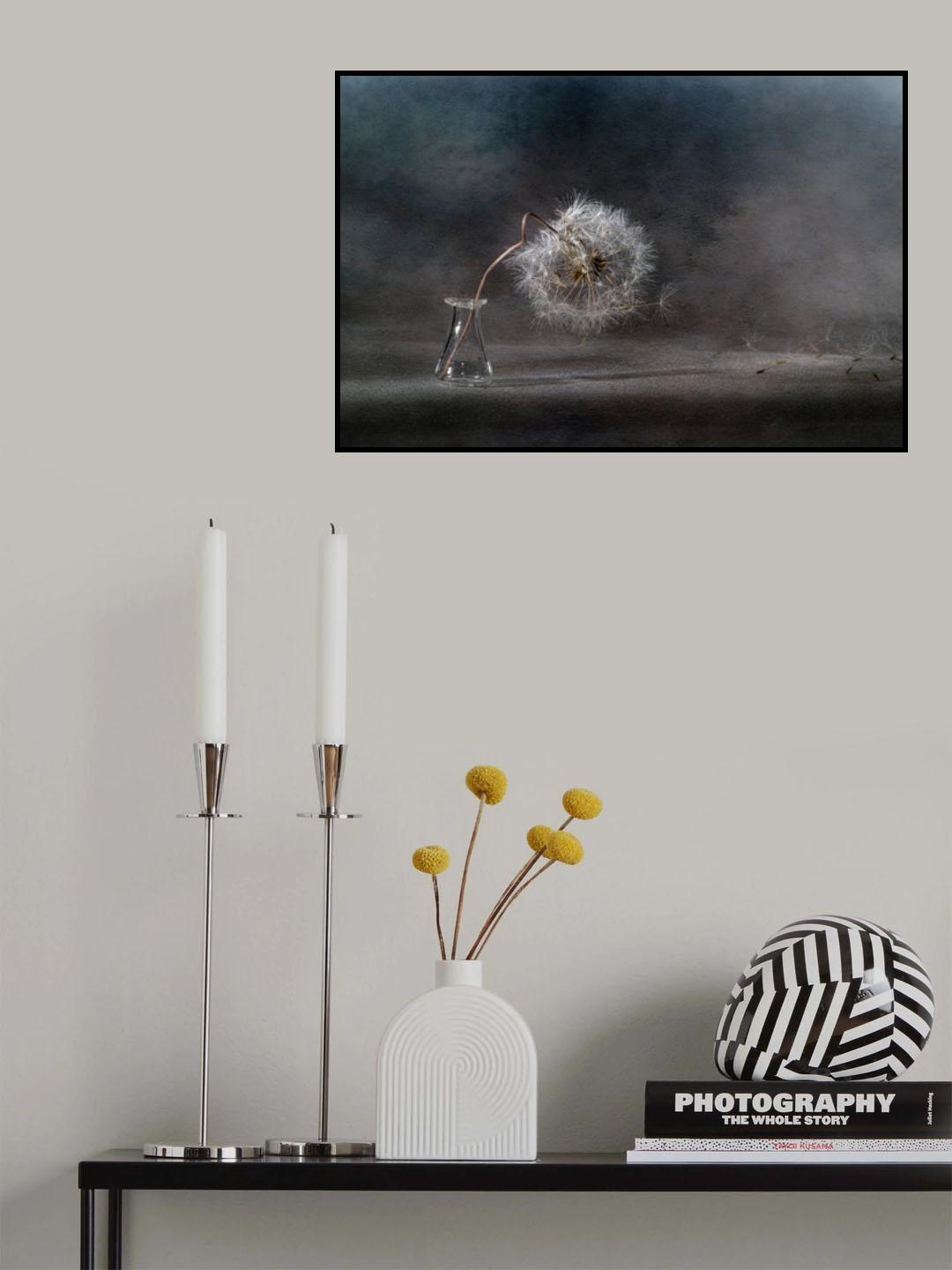 The ballad of the dandelion... Poster och Canvastavla