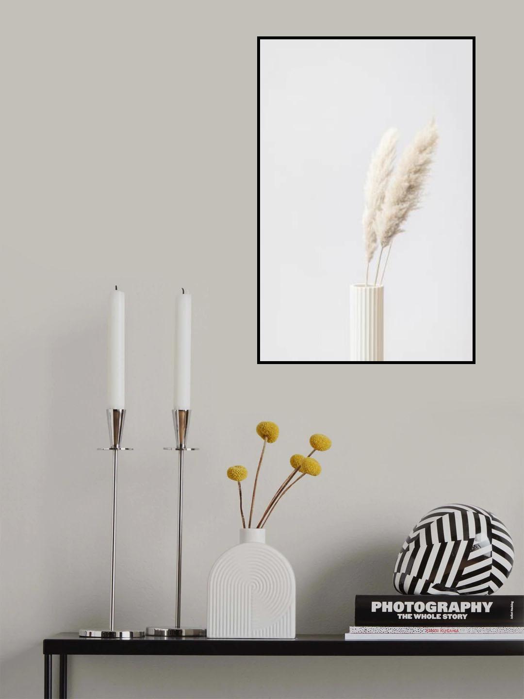 Pampas Grass Grey 10 Poster och Canvastavla