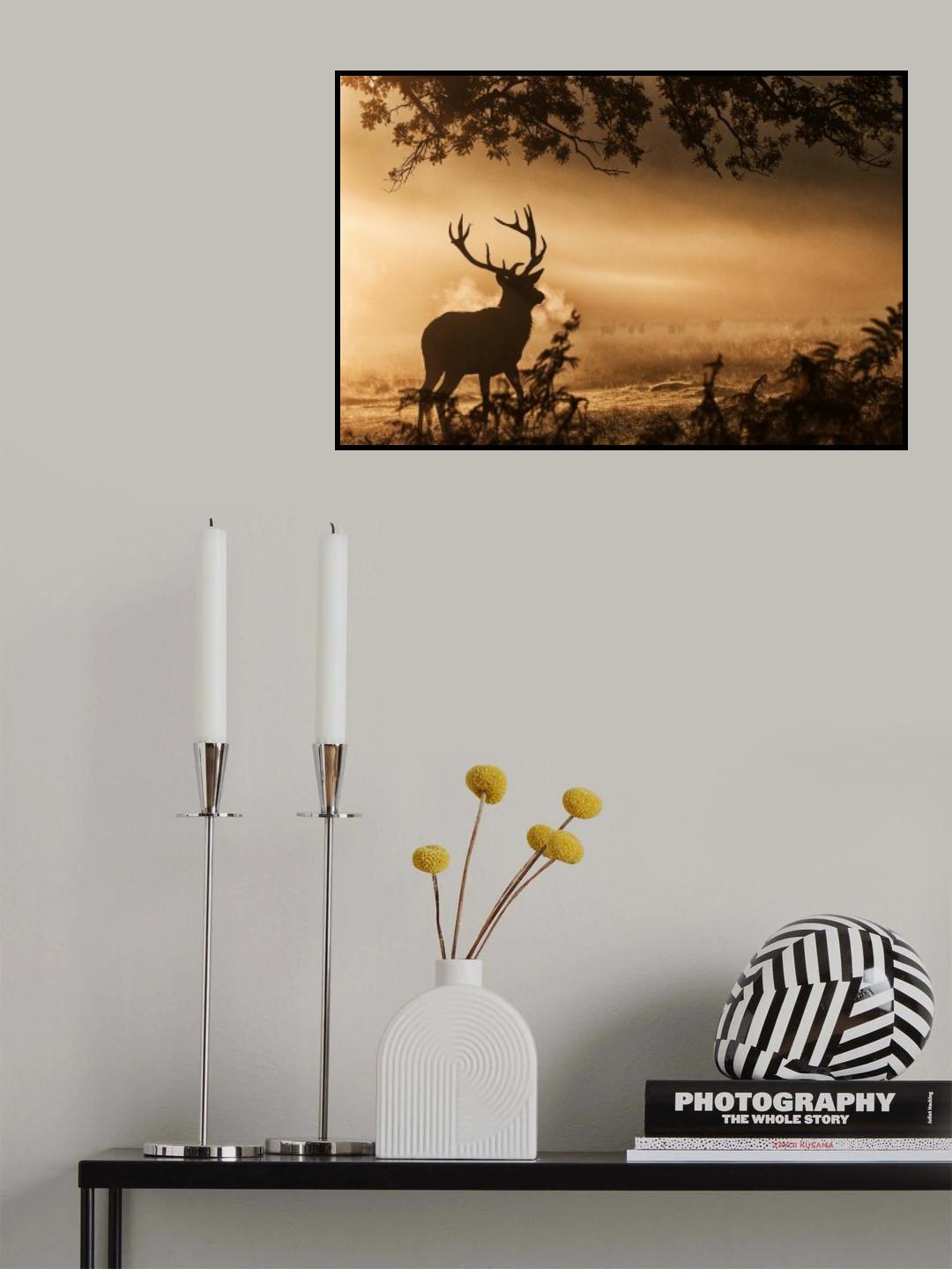 Poster och Canvastavla