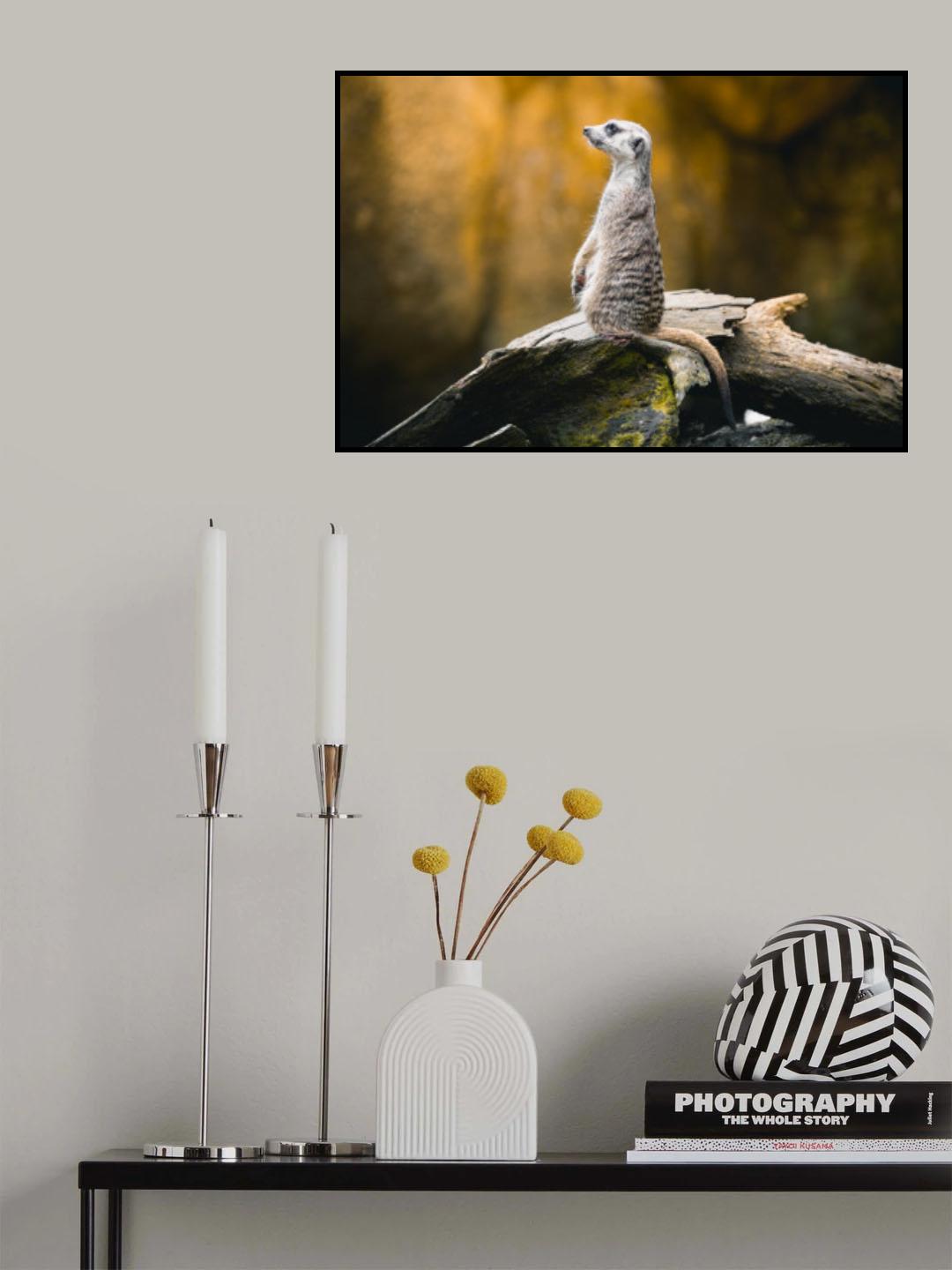 Timon Poster och Canvastavla