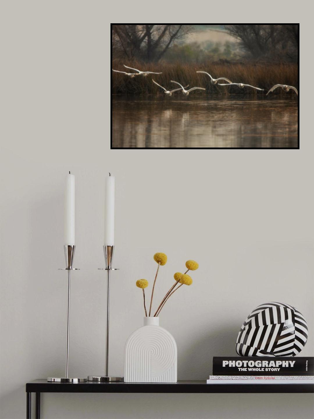 Fly to You Poster och Canvastavla