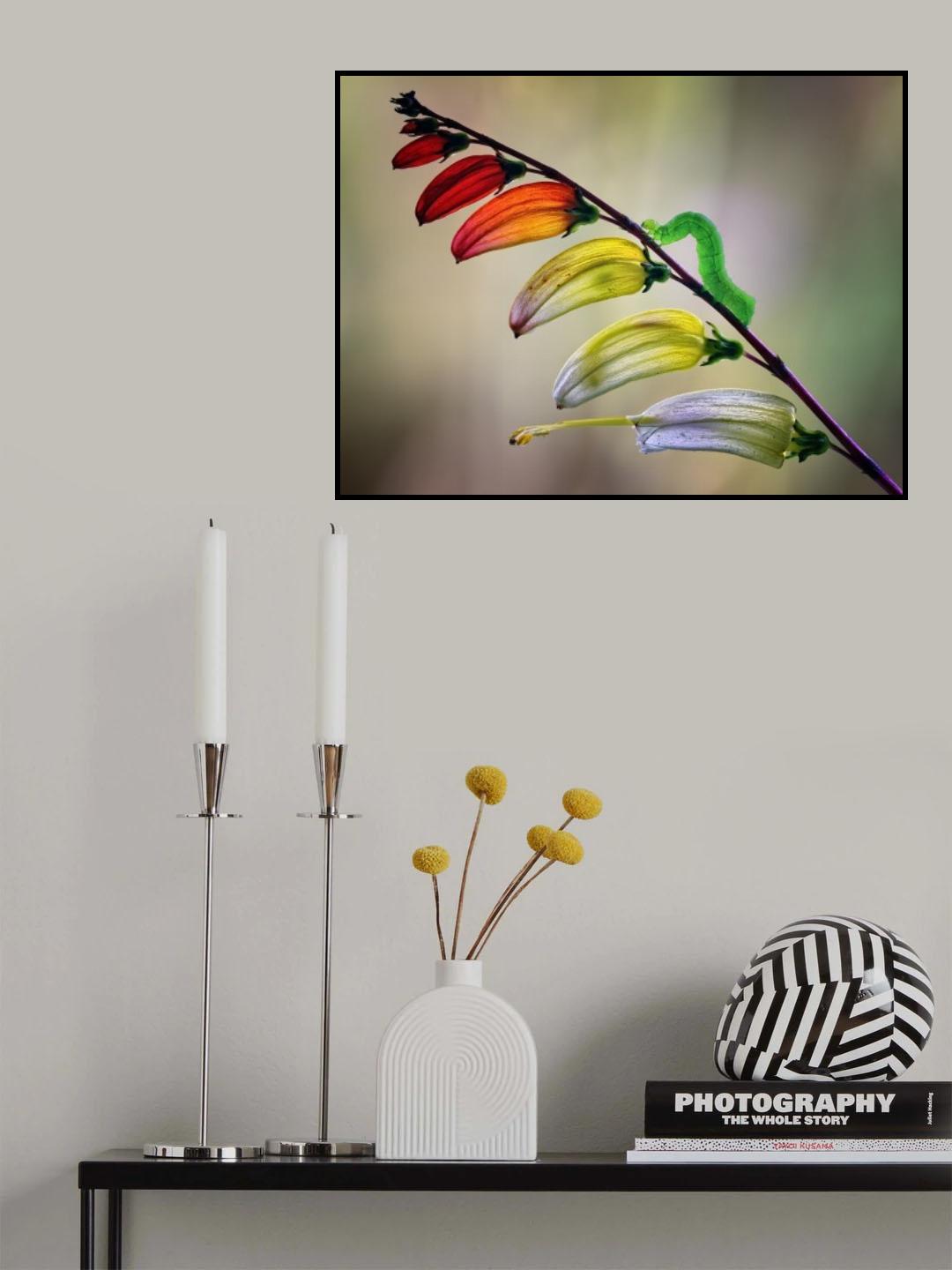 Oruga Poster och Canvastavla