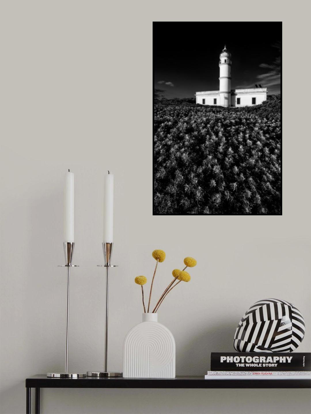 Becoming overgrown Poster och Canvastavla