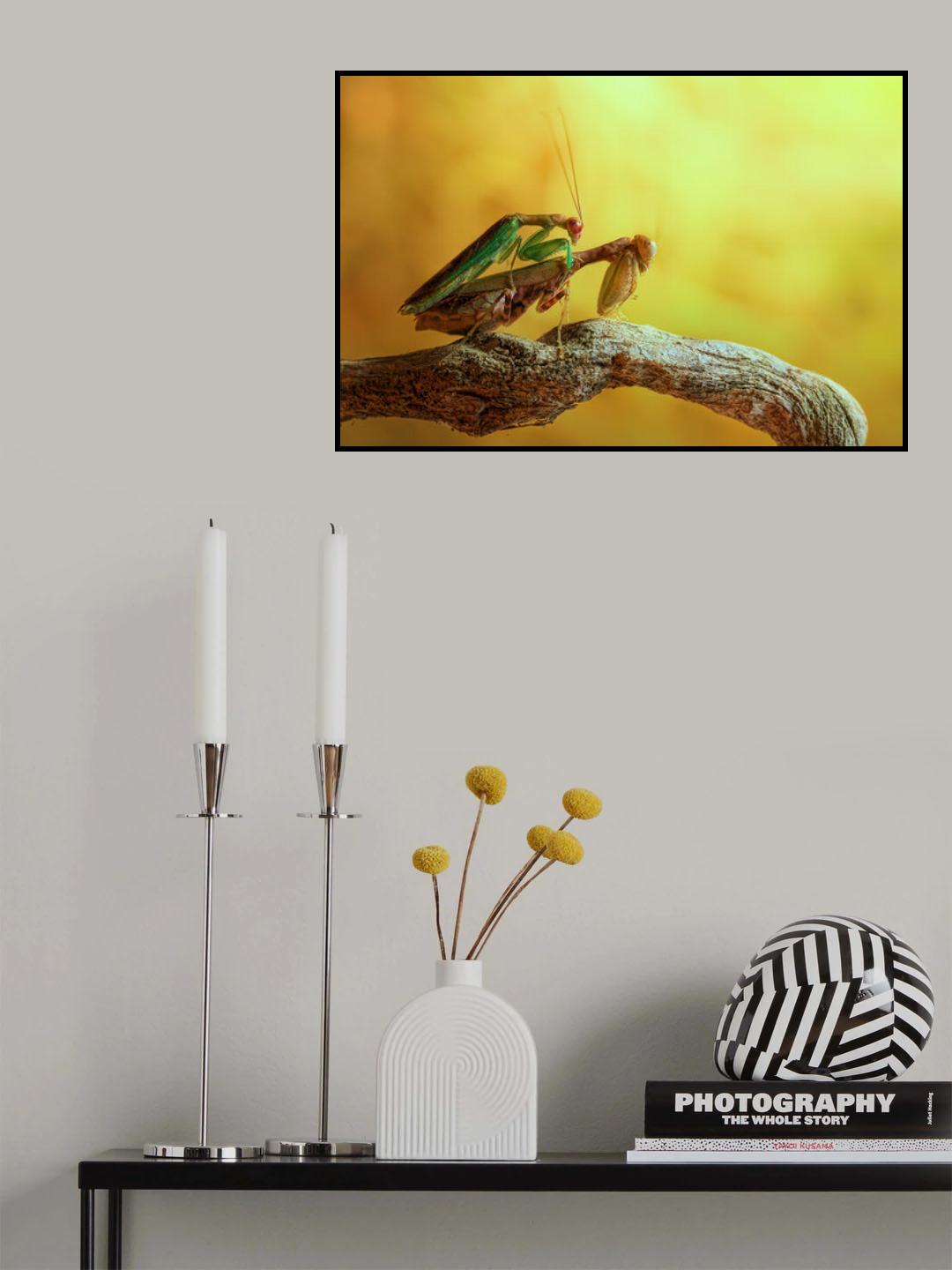 Mantises in love Poster och Canvastavla