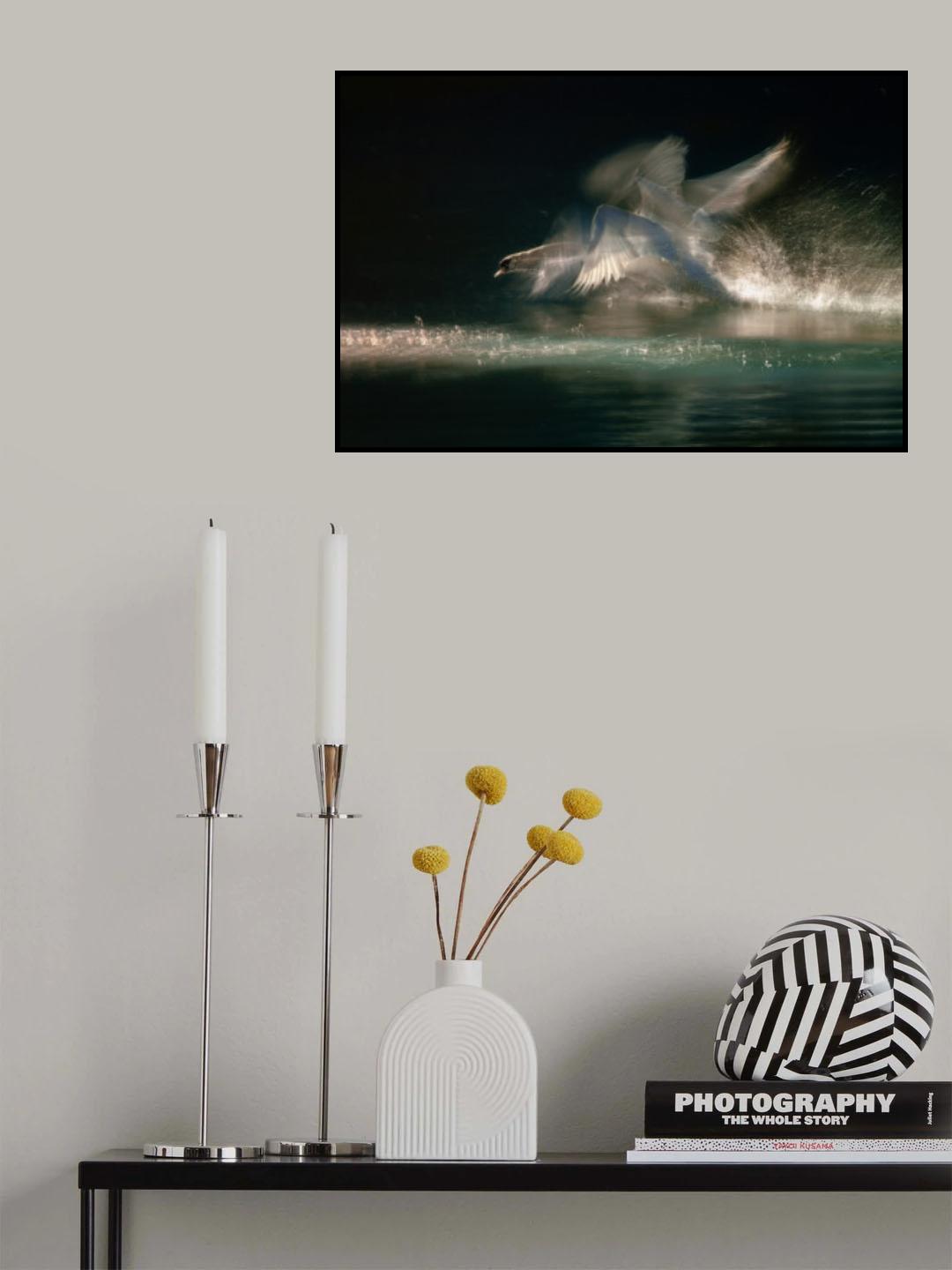 Landing Poster och Canvastavla