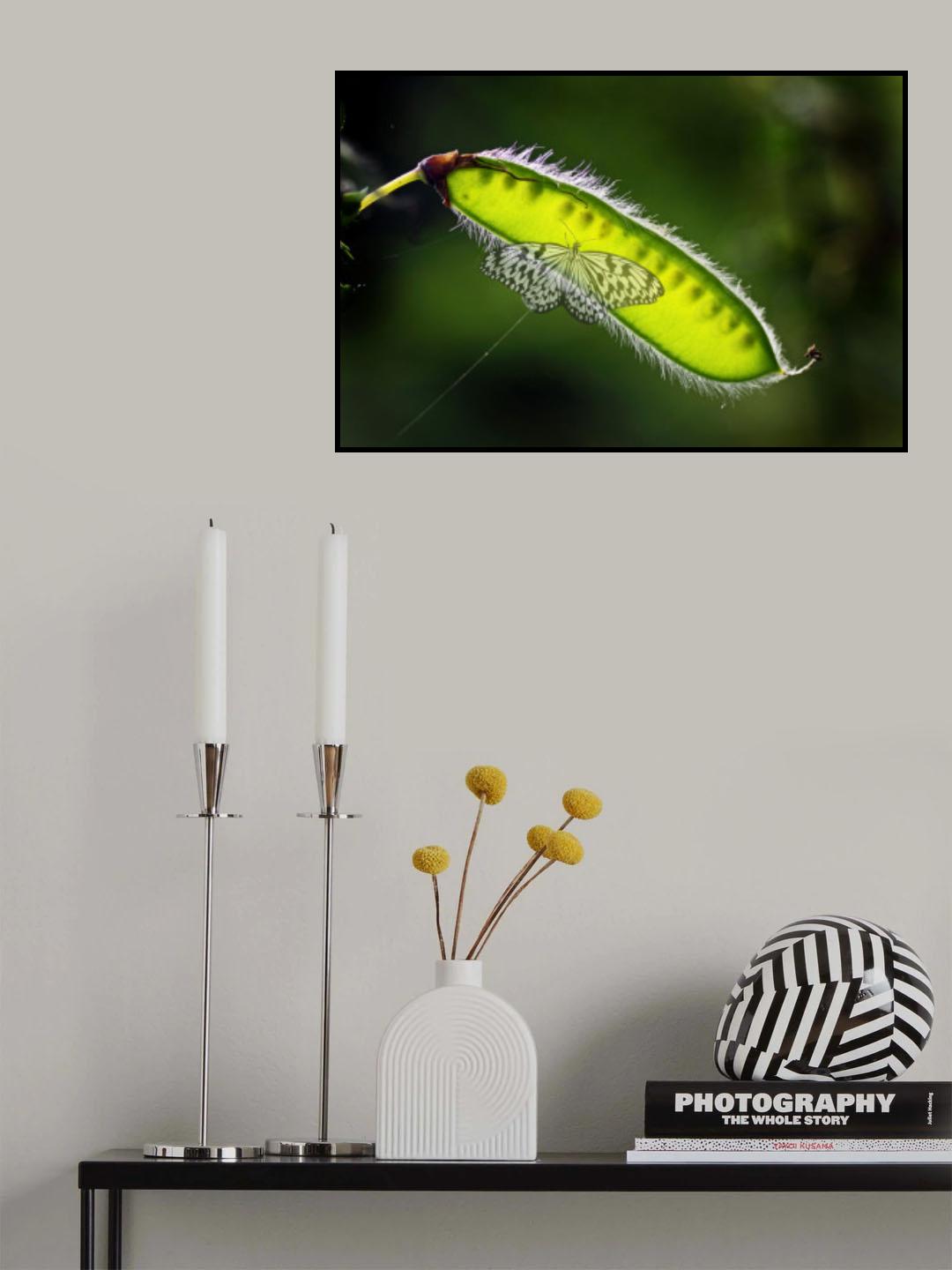 Poster och Canvastavla