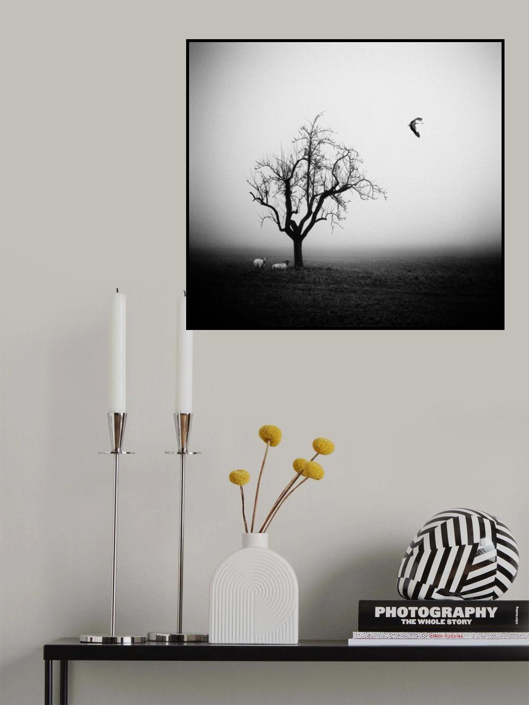 meeting in the morning mist Poster och Canvastavla