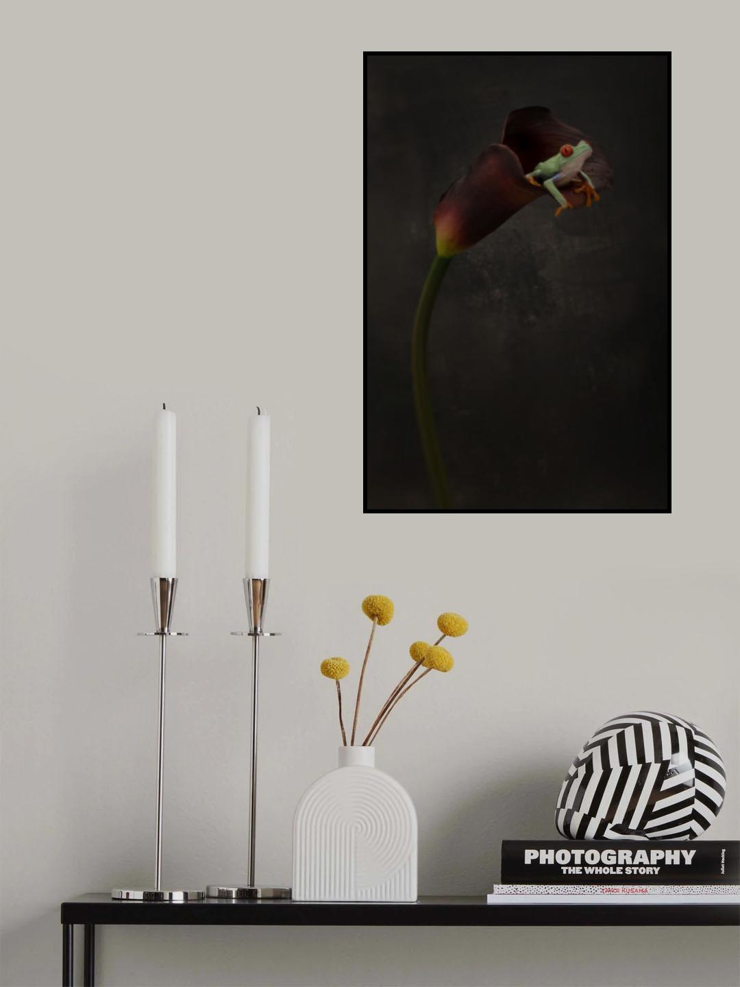 Portrait of a Red Eyed Tree Frog Poster och Canvastavla