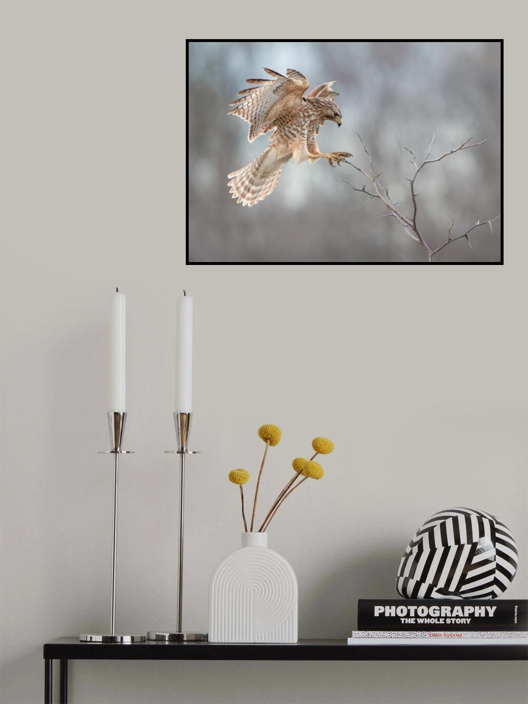 Landing Poster och Canvastavla
