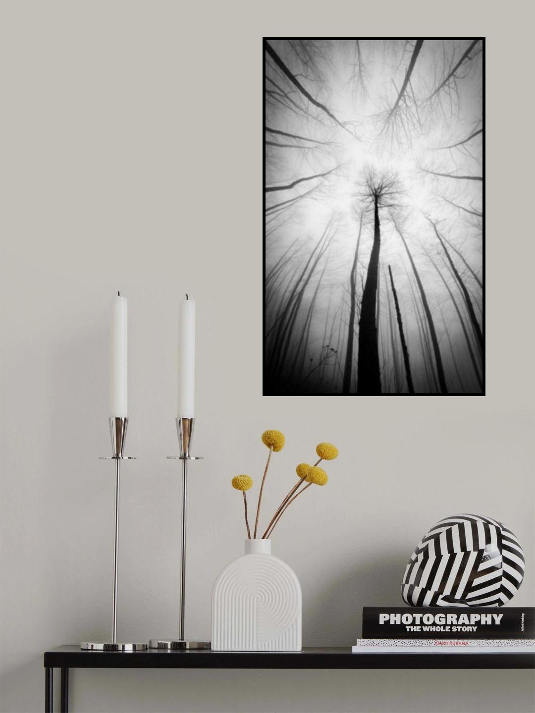 tree Poster och Canvastavla