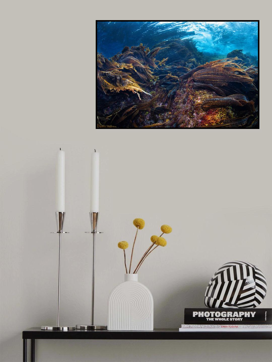 Raw Poster och Canvastavla
