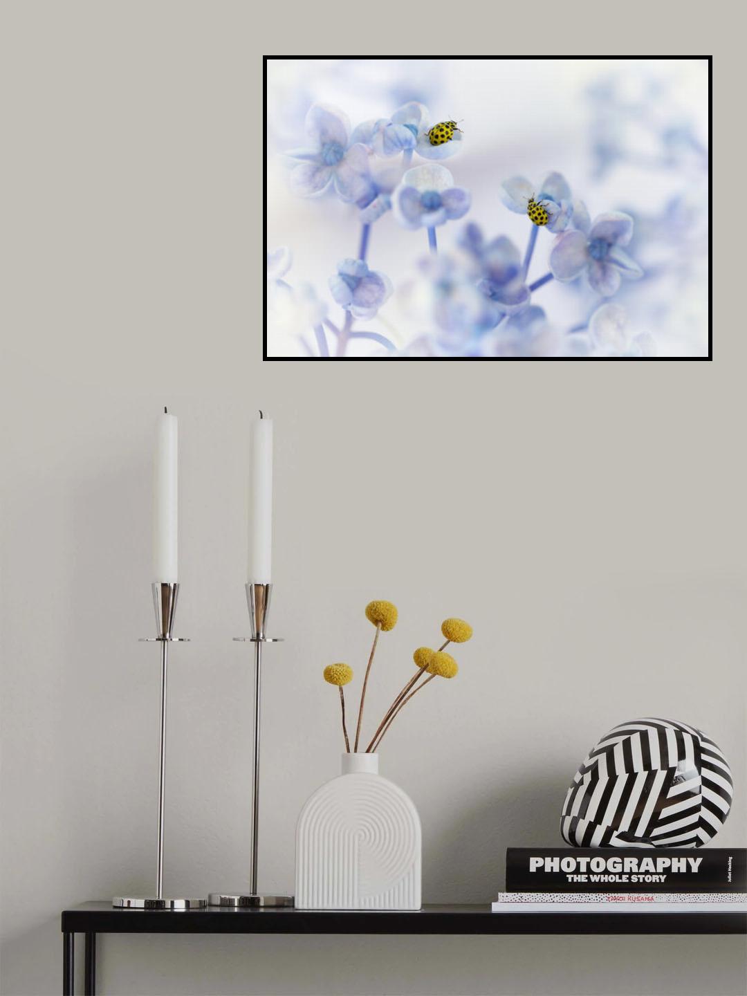 All creatures great and small.... Poster och Canvastavla