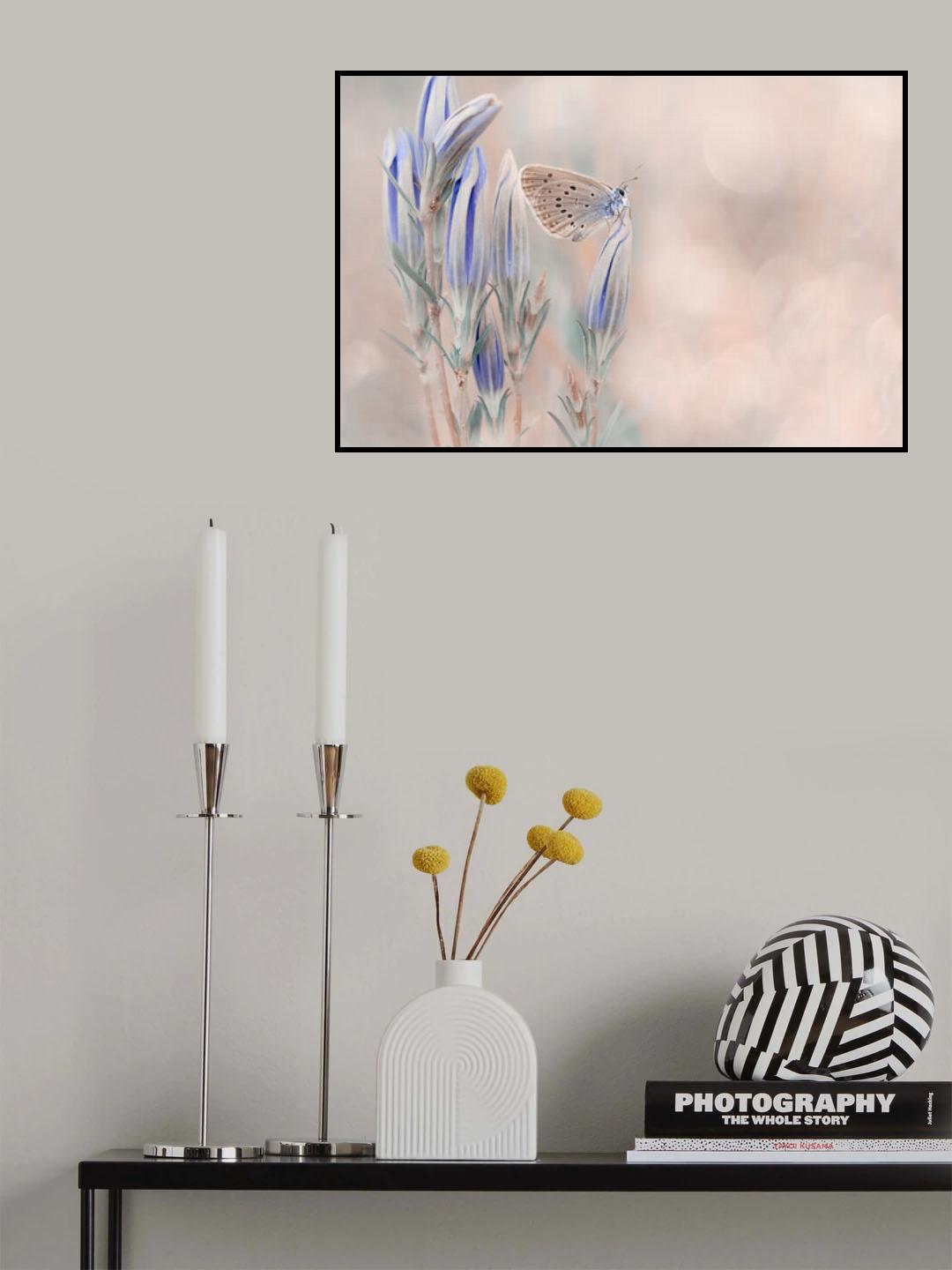 Fragility Poster och Canvastavla