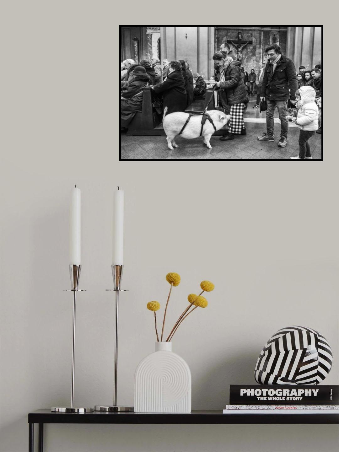 In the church with pets Poster och Canvastavla