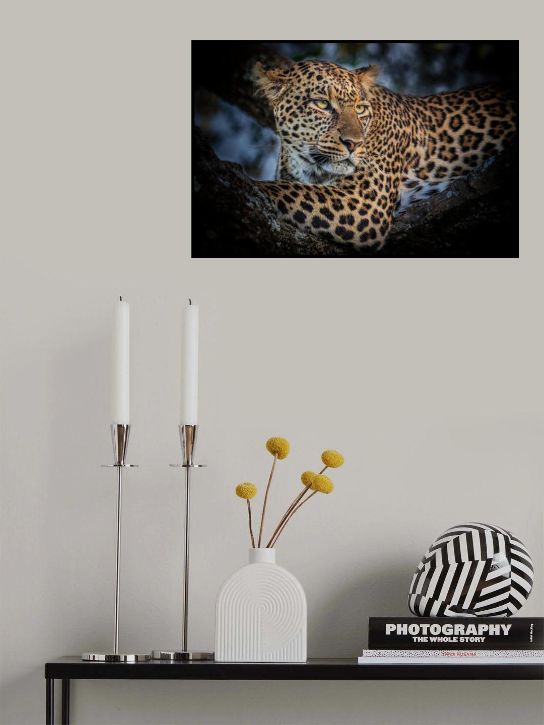 The Leopard Poster och Canvastavla