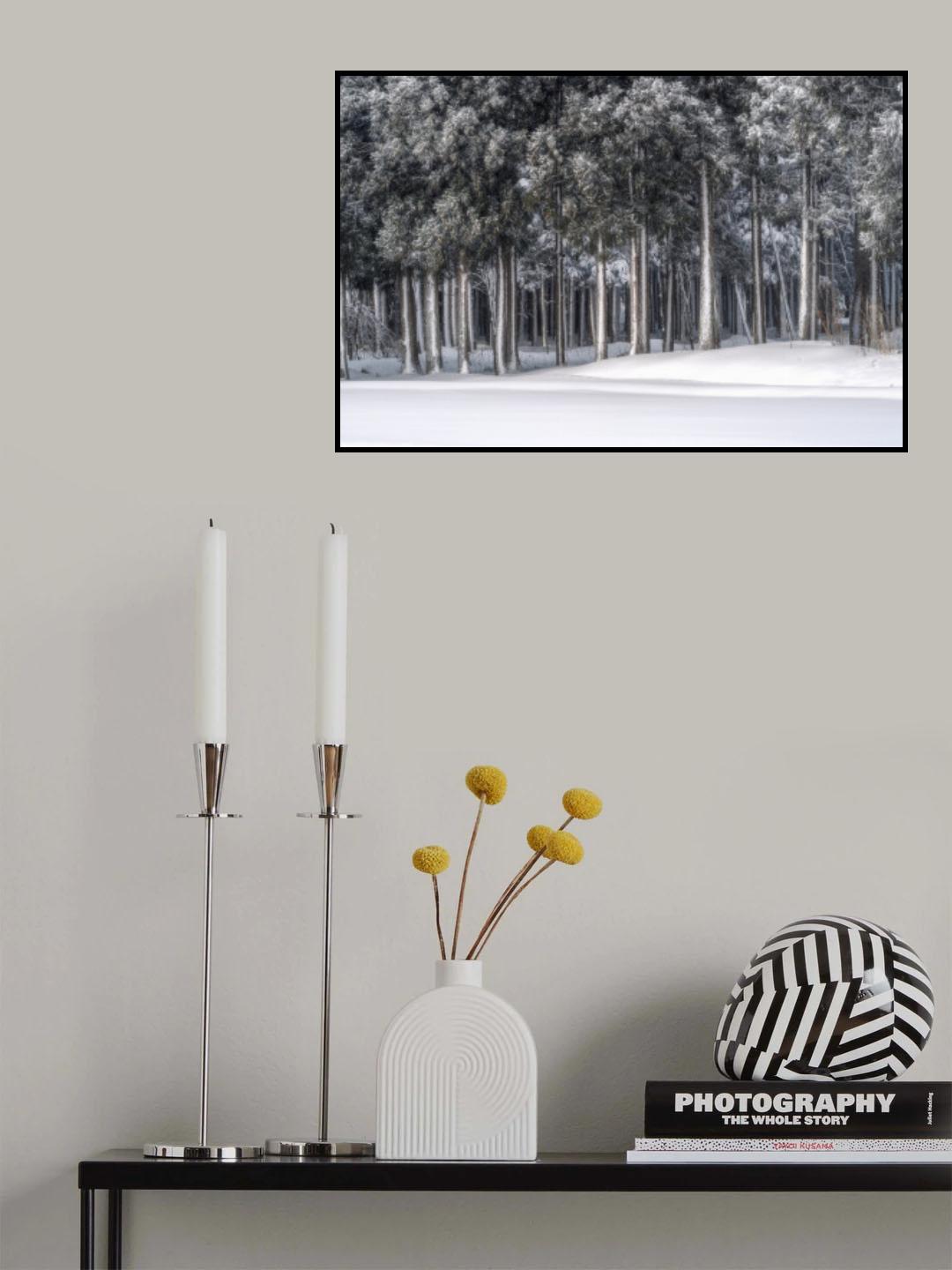 A place in a silver world Poster och Canvastavla