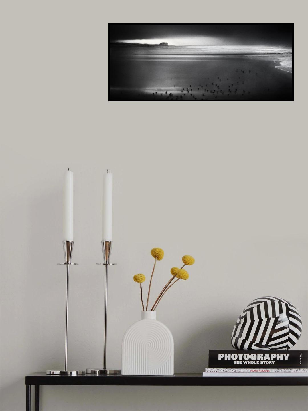 Land of the seagulls Poster och Canvastavla