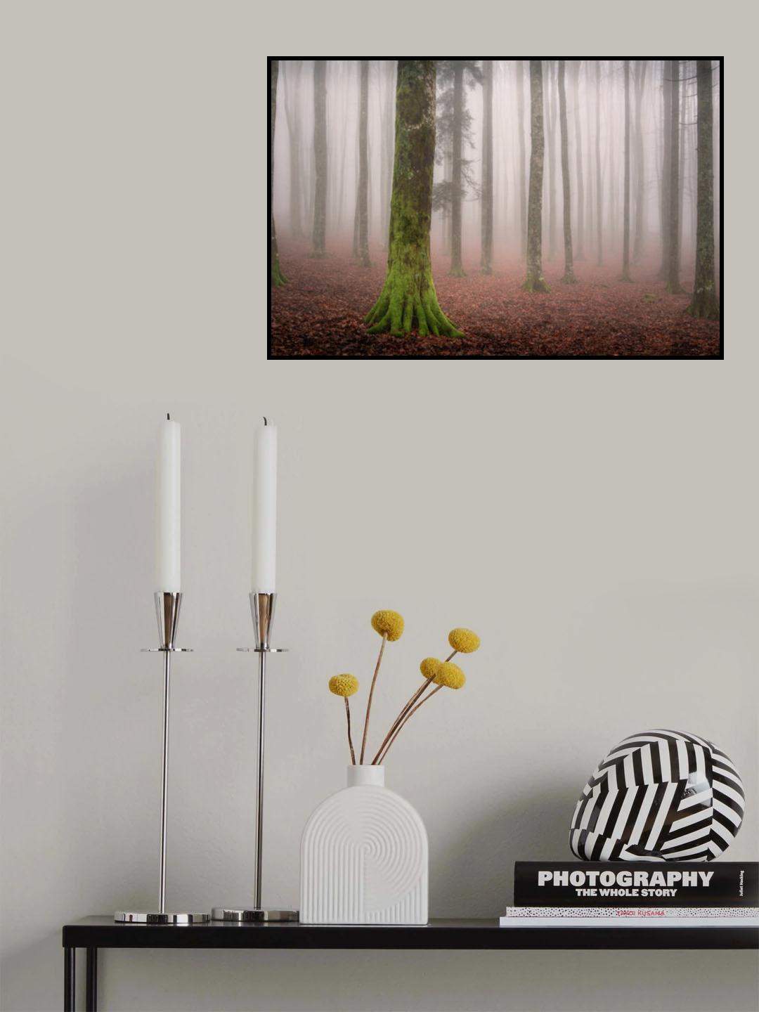 La foresta incantata Poster och Canvastavla