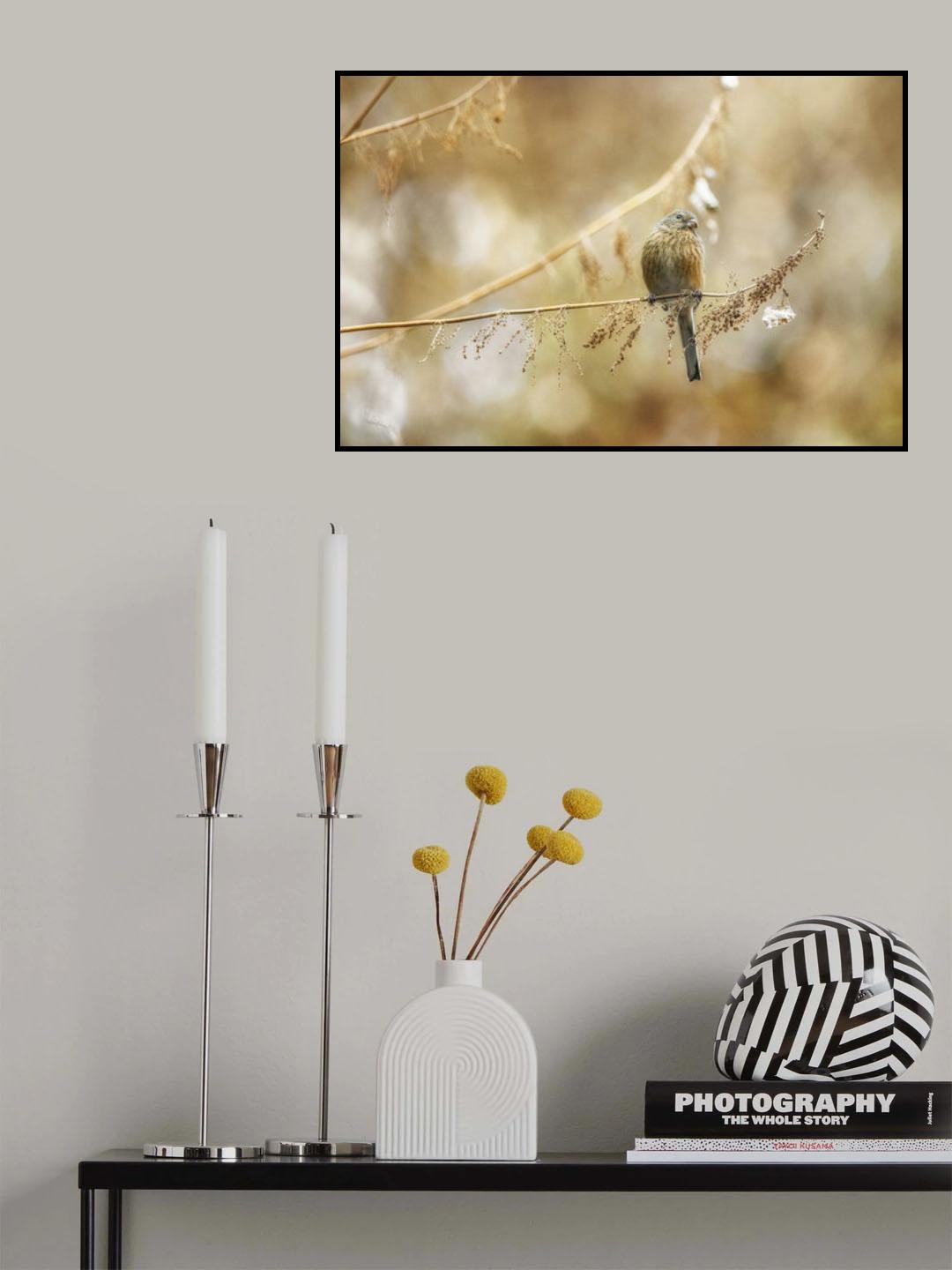 Yellow shine Poster och Canvastavla
