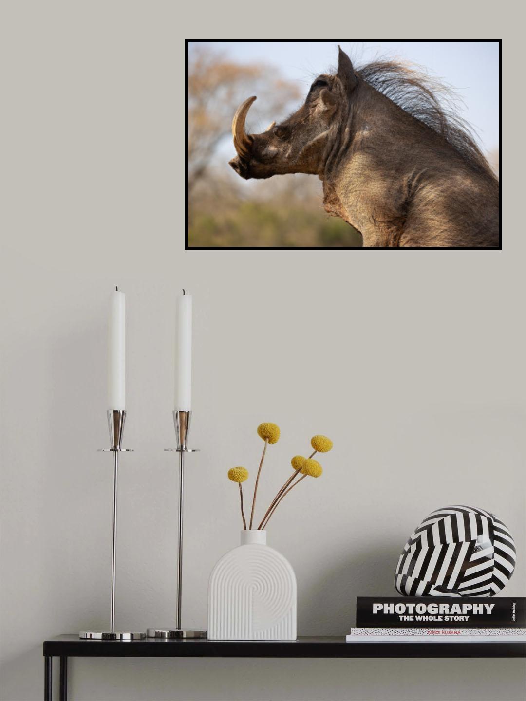 Warthog Poster och Canvastavla