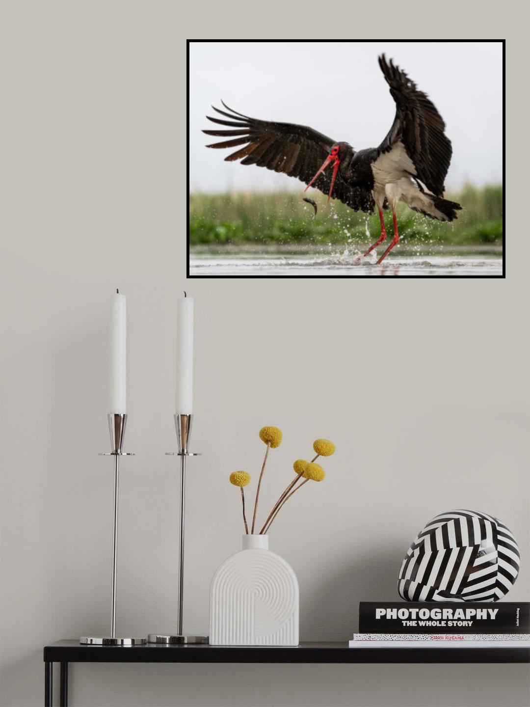 Dancing Poster och Canvastavla