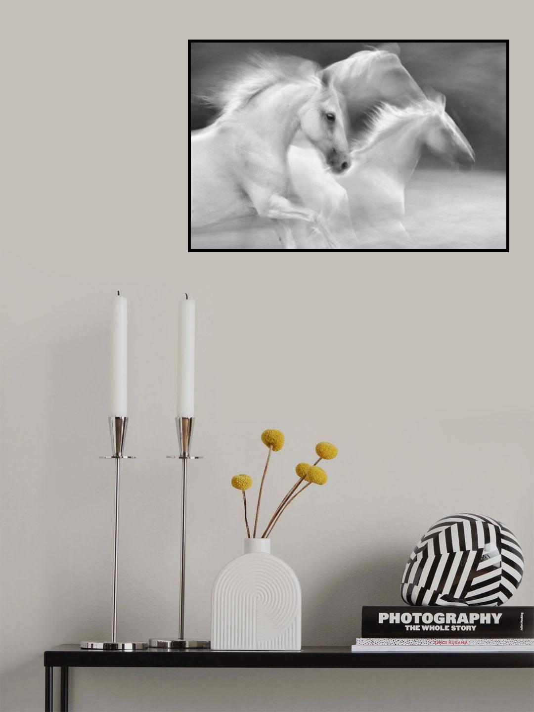 elegance in white Poster och Canvastavla