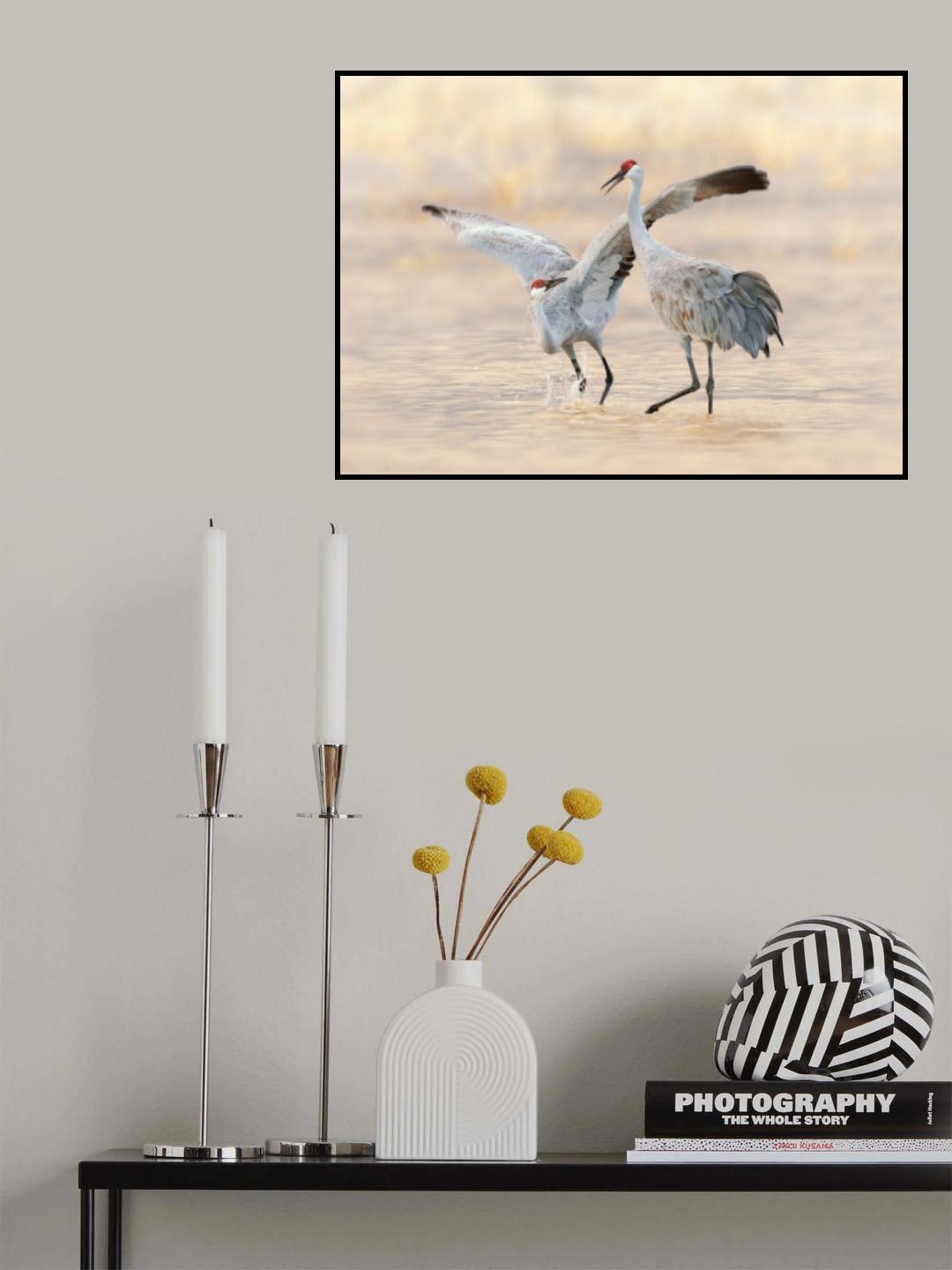 Let's Dance Poster och Canvastavla
