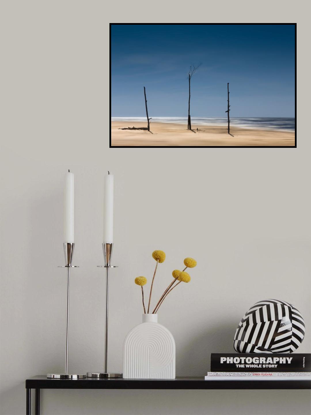 Coast Line Poster och Canvastavla